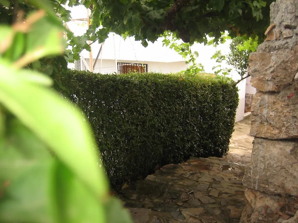 Alojamiento Rural Mirador Del Avellano Apartment Alpujarra De La Sierra